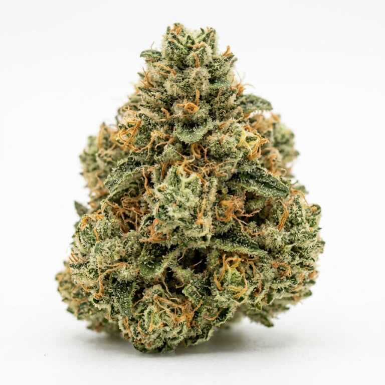 Everglazed cannabis strain flower