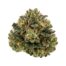 Ghost OG cannabis strain flower