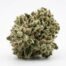 Marilla Mangler cannabis strain flower